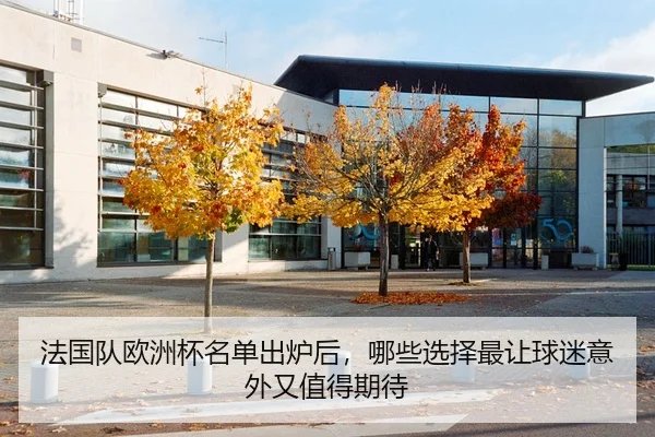 法国队欧洲杯名单出炉后，哪些选择最让球迷意外又值得期待